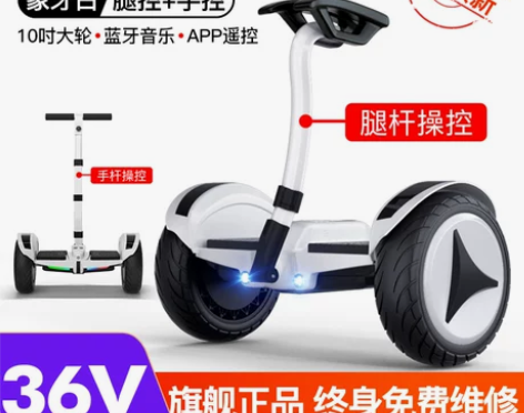 领奥官方旗舰店新款电动平衡车腿控成年智能儿...