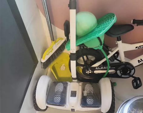 领奥平衡车，最知名的品牌，699买的，现在...