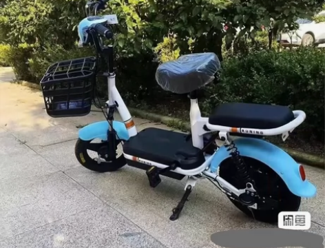 【捡漏捡漏】爱玛雅迪电动车同款飞鸽48伏二...