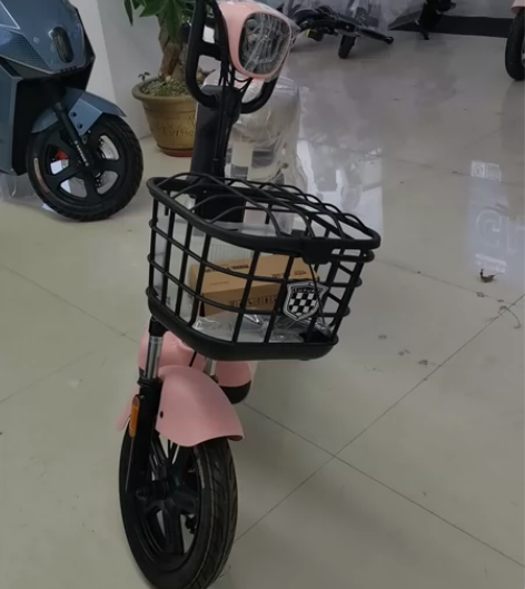 绿源电动车，一辆电机可以质保十年的车，带电...