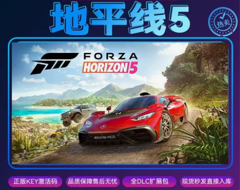 Steam游戏 极限竞速地平线5 激活码C...