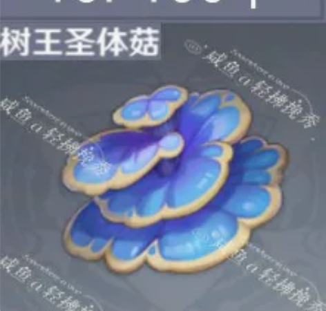原神树王圣体菇/柯莱突破 10r 100个...