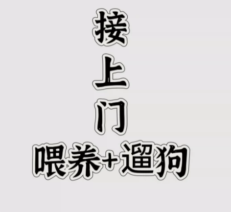 上门喂养、遛狗（拍前询问） 【范围】西湖区...