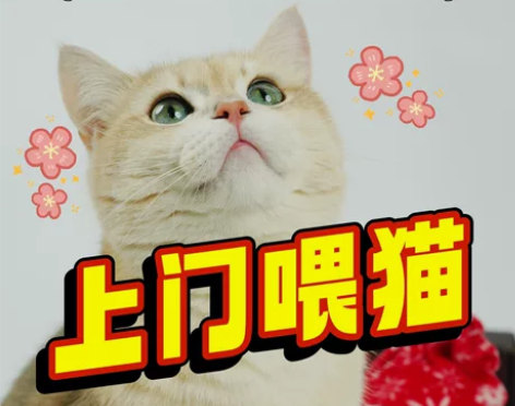 杭州上门喂猫遛狗异宠西湖区拱墅区余杭区 [...