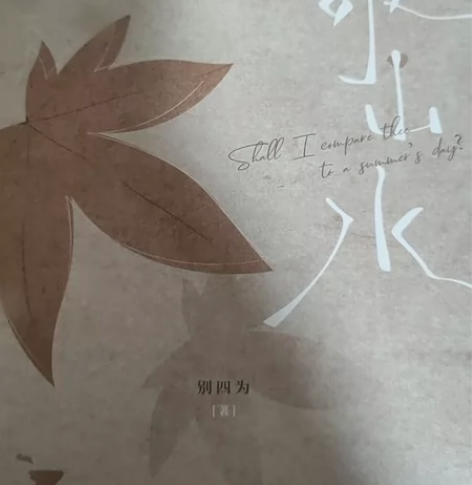 敬山水  言情小说  青春文学  be文敬...