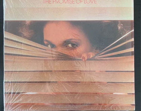 首版Delegation 黑胶LP 197...