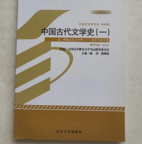 正版二手 中国古代文学史(一) 张峰屹 ...