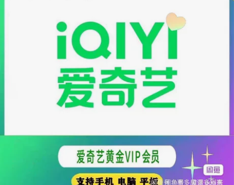 爱奇艺会员,季卡35一个季度,季卡爱奇艺 ...