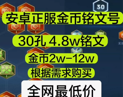 王者荣耀金币号30孔铭文4.8W 成品 【...