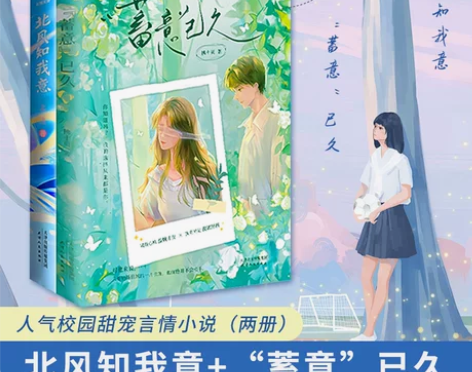 言情小说北风知我意蓄意已久青春校园甜宠文学...