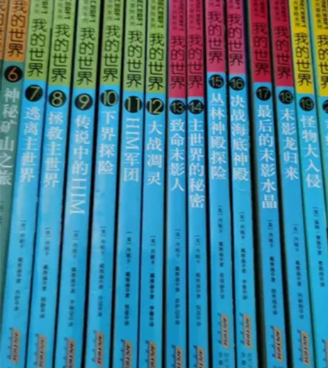 我的世界，斯蒂夫冒险系列，全套20册，孩子...