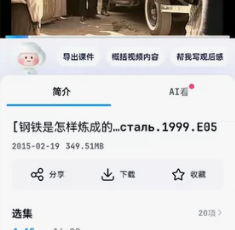 钢铁是怎样炼成的电视剧，1999版共20集...