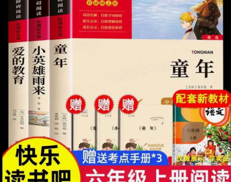 爱的教育小英雄雨来童年书高尔基正版原著六年...