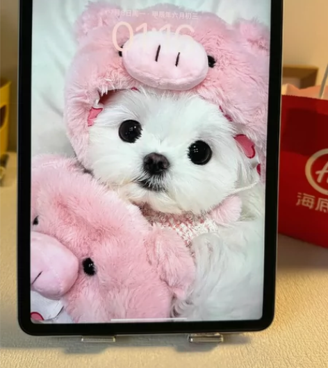 仅售个人带配件出?iPad2021款256...