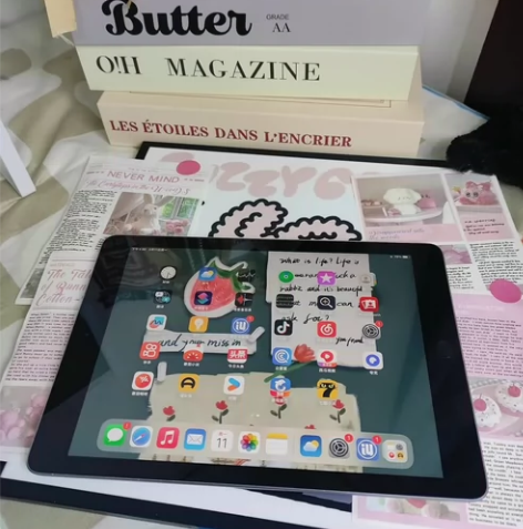 诚心出个人iPad2019平板电脑，一直自...