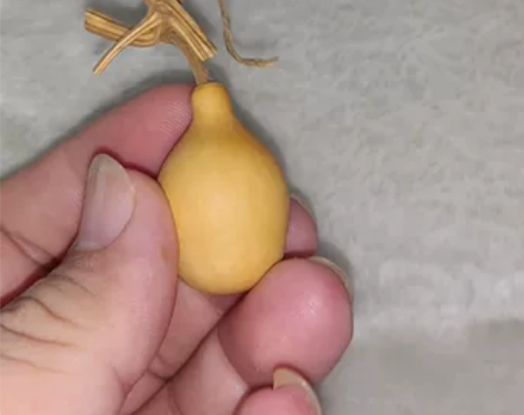 #葫芦 #坛子葫芦 #草里金老葫芦14 一...