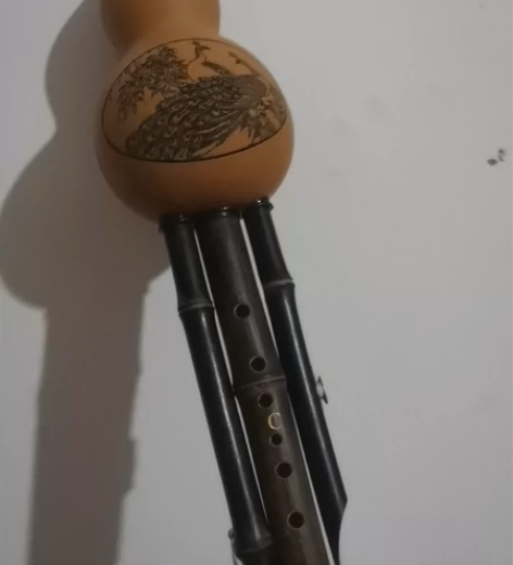 葫芦丝，紫竹，C调 感兴趣的话点“我想要”...