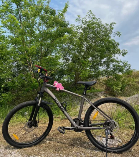 女大学生自己骑的喜德盛380 要毕业了 学...