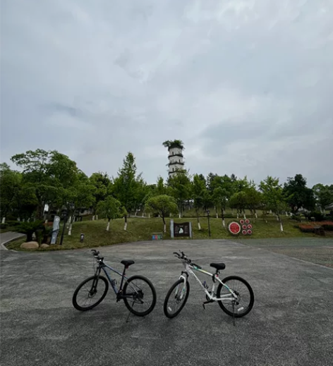 美利达白色勇士300Ds，5月份入手，九成...