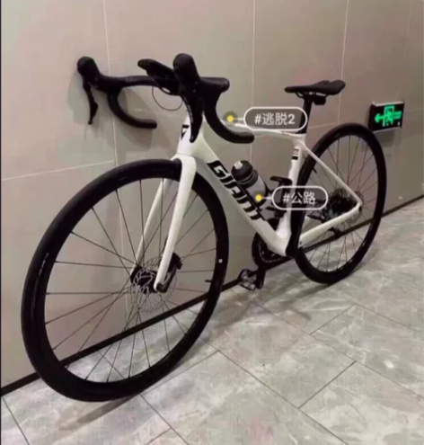 【急出！原价3000多】捷安特公路车逃脱二...