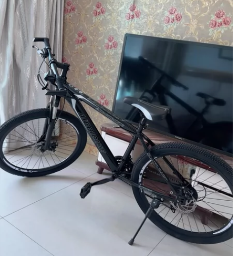 4s店买车送的自行车 家里用不上 感兴趣的...