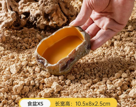 爬宠食盆蜥蜴水盆角蛙寄居蟹泡澡盆姥爷树蛙饲...