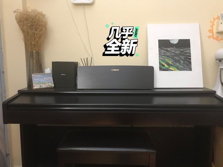 雅马哈ydp144，出厂日期是2020年。...