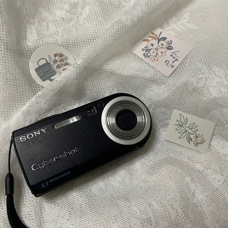实价：索尼长条，索尼P120。  老数码相...
