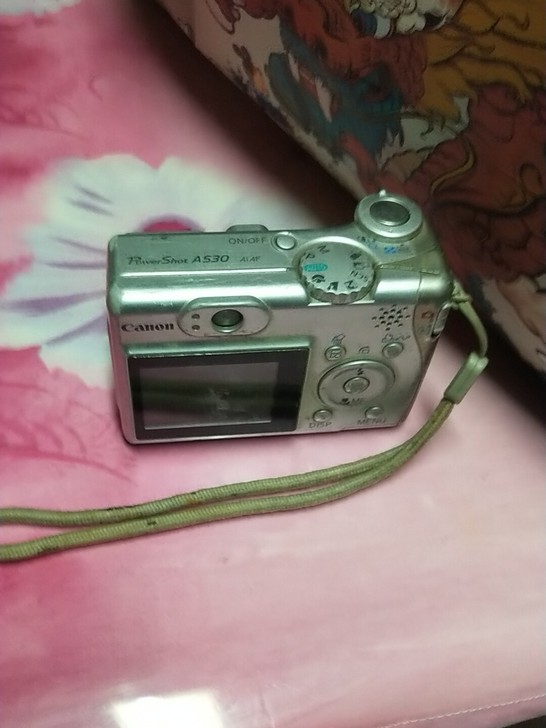 佳能a530数码照相机