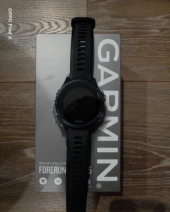 一、佳明（GARMIN）户外手表 Fore...