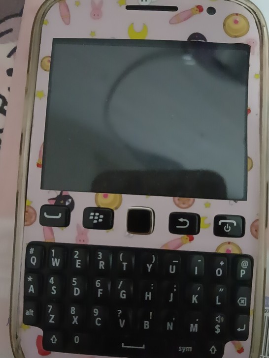 黑莓手机平时不用了闲置了，价格一百块以上自...