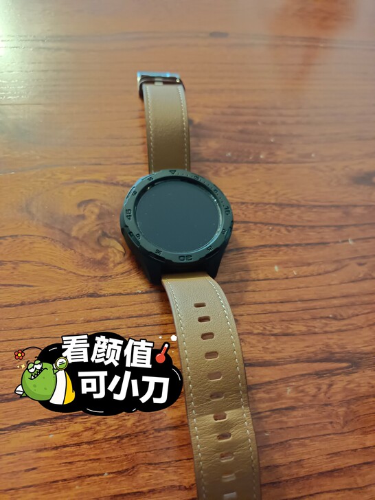 品牌型号 vivo watch 46mm