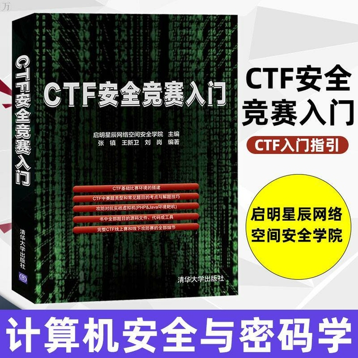 CTF安全竞赛入门 张镇 王新卫 刘岗