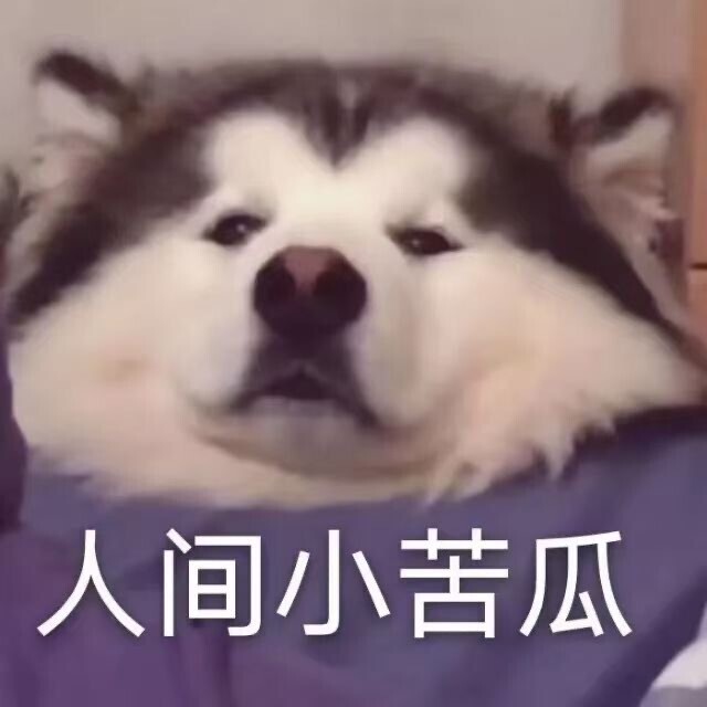 想收老式数码相机，松下索尼佳能，配件全一点...