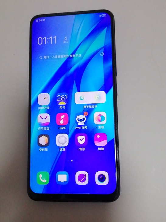 ViVoS1