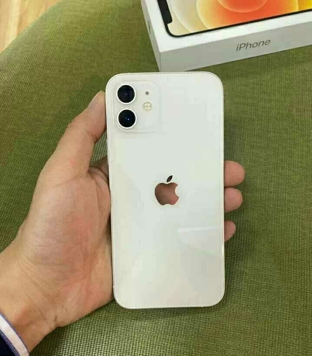 苹果12