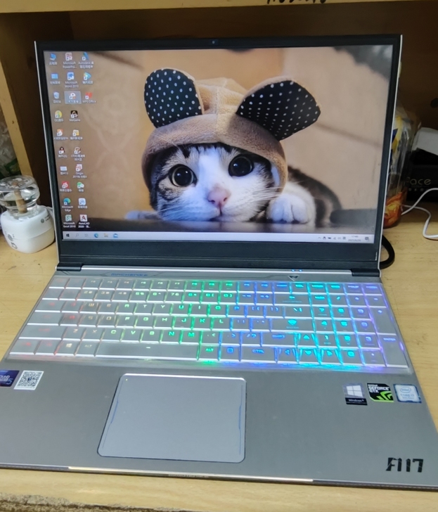 机械师f117-b i7八代4G独显 10...