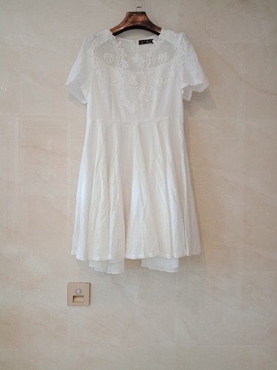 裙子 女式时尚连衣裙 L码 万达购入 买时...