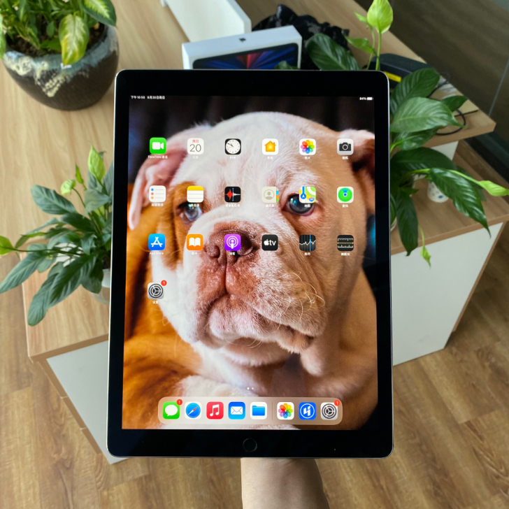 99新iPad pro12.9寸二代 64...