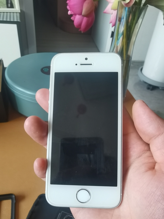 iphone SE一代128g全网通，99新