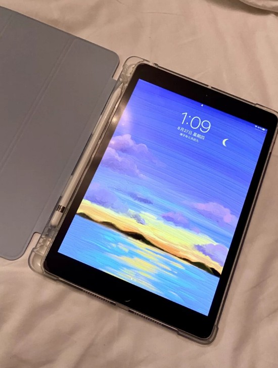 闲置转让平板iPad8代2019款128G...