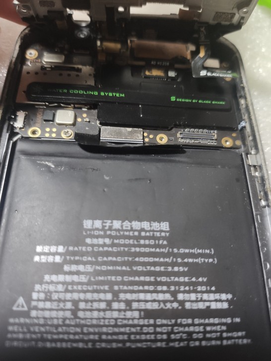 黑鲨1