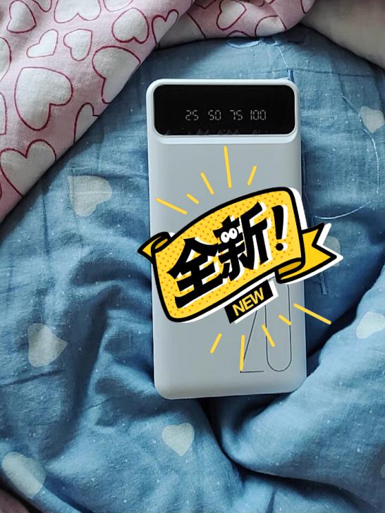 亏本处理20000充电宝的  一个19.9...