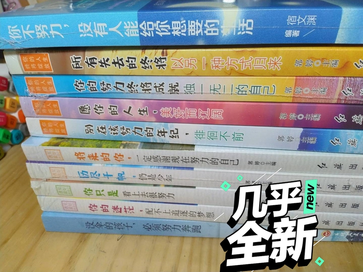 励志书籍 10本 50元包邮偏远半包 看上...