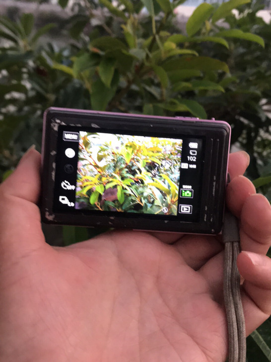 索尼相机DSC-TX5数码相机 成色垃圾 ...