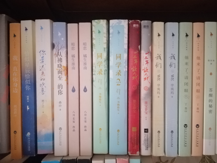 卖书 白马时光 青春文学言情小说