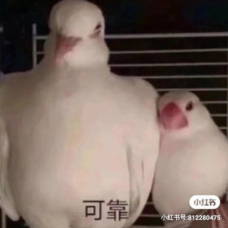 秒杀价出二手书！，所有想要的书都可以来问我...
