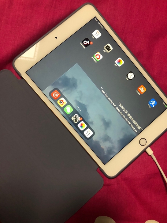 自用苹果iPad 2018款平板电脑 12...