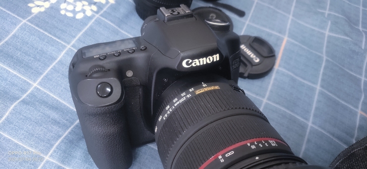 闲着 佳能 50d 出售