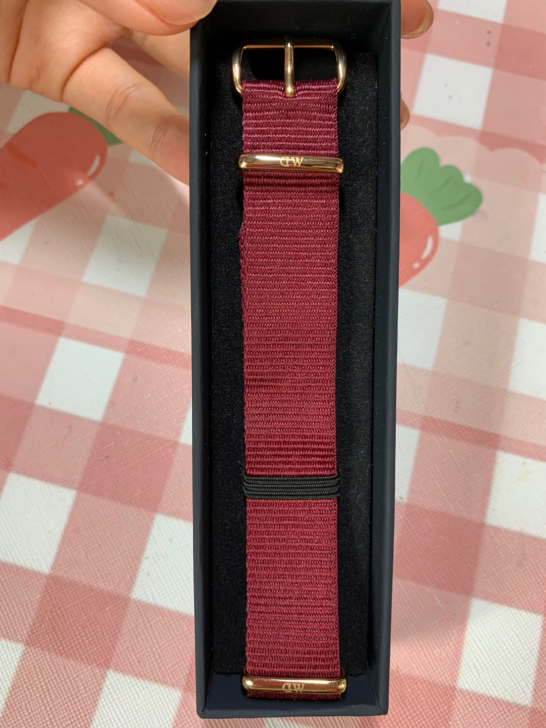 DW 丹尼尔惠灵顿表带 18mm